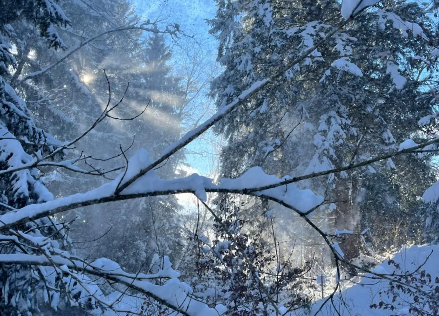 Wald Ist Zukunft Hotel Bernbeuren 0*,