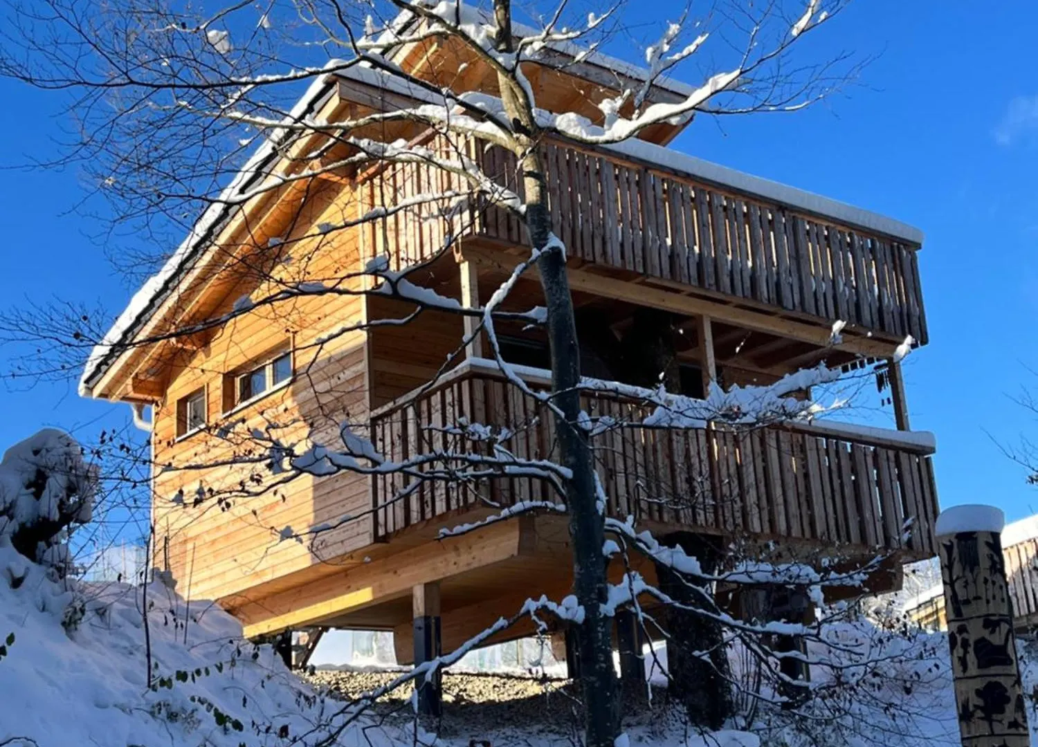 Wald Ist Zukunft Hotel Bernbeuren Holiday park