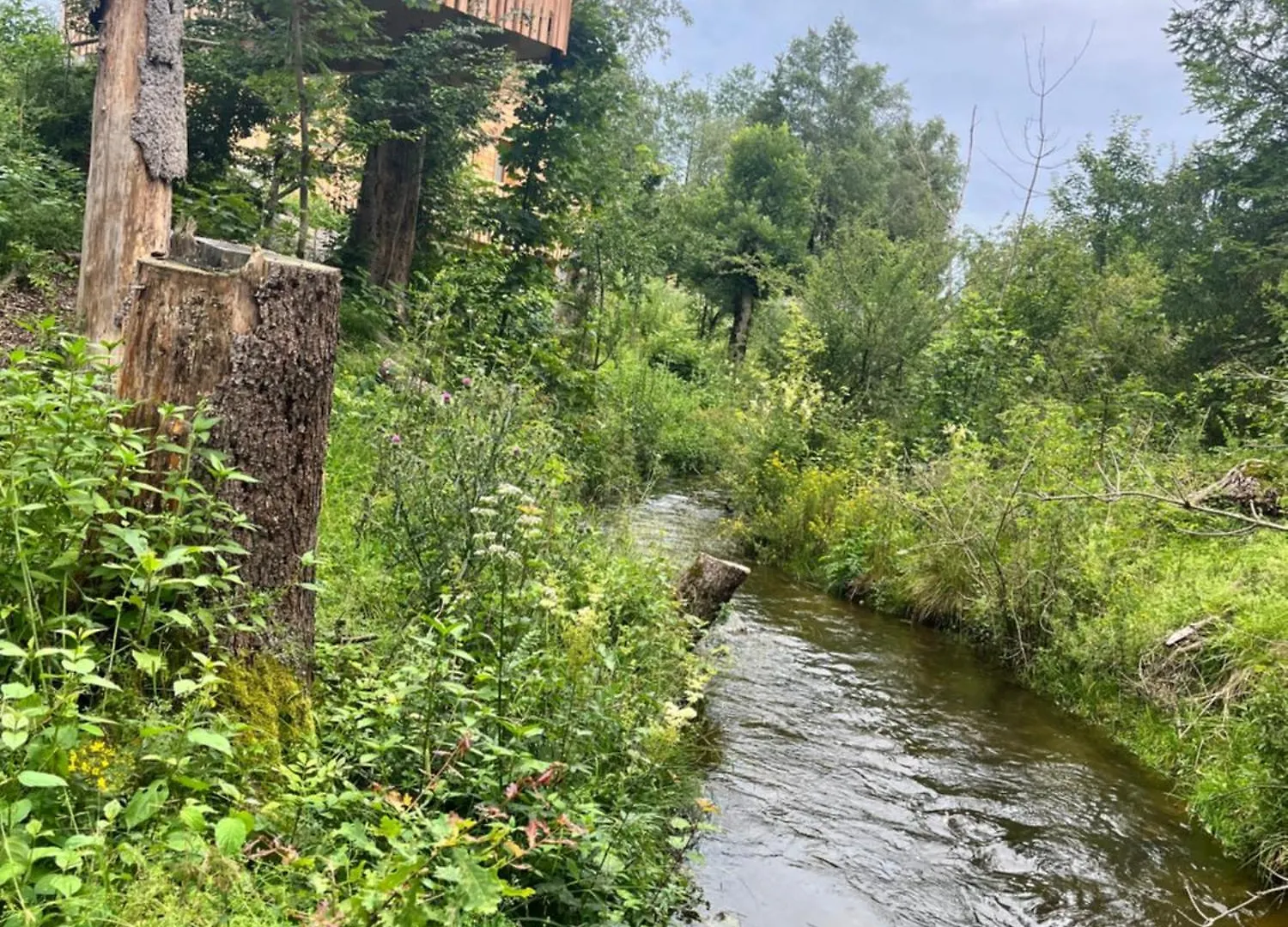 Holiday park Wald Ist Zukunft Hotel Bernbeuren