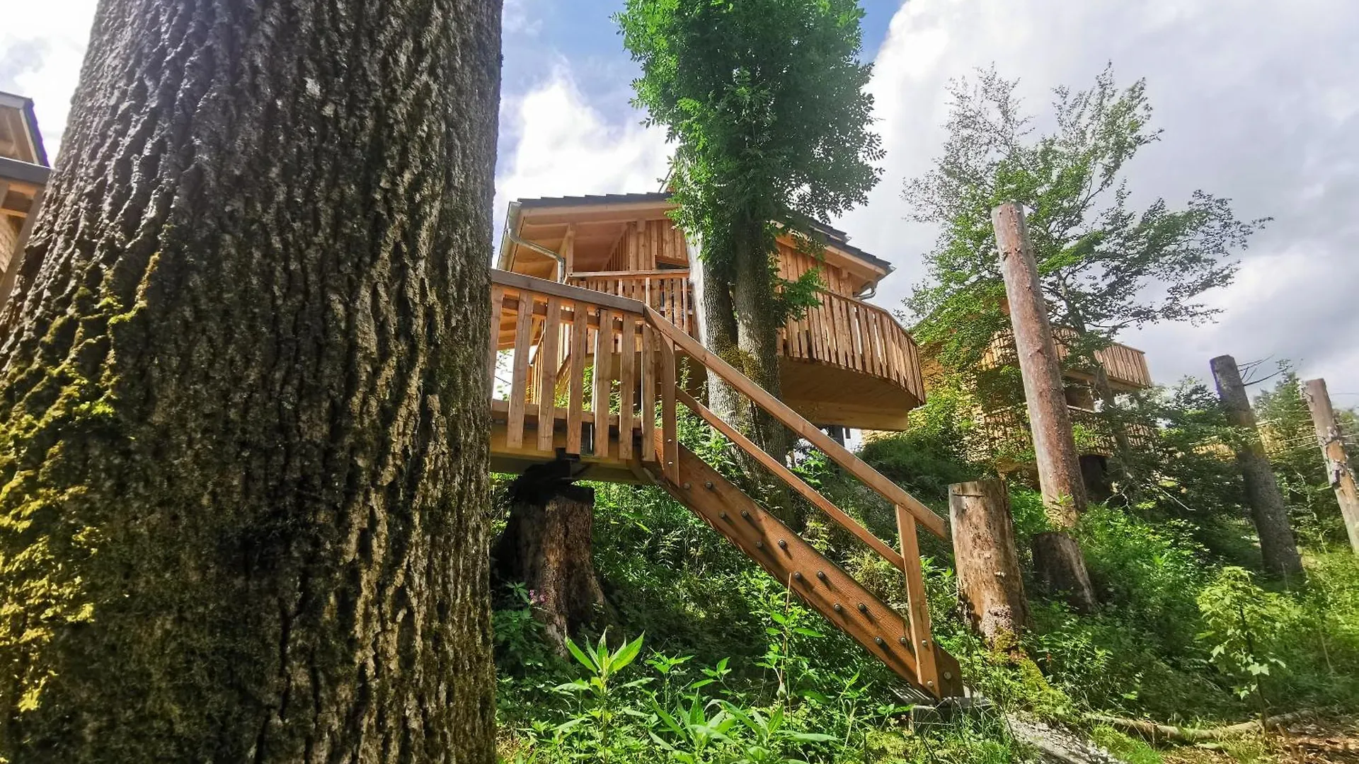 Wald Ist Zukunft Hotel Bernbeuren