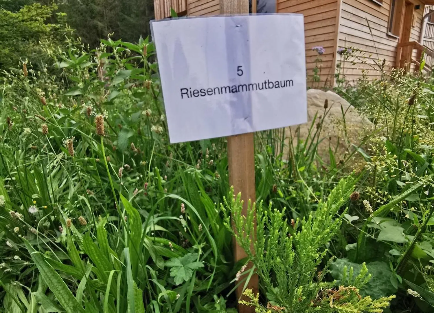 Wald Ist Zukunft Hotel Bernbeuren Holiday park