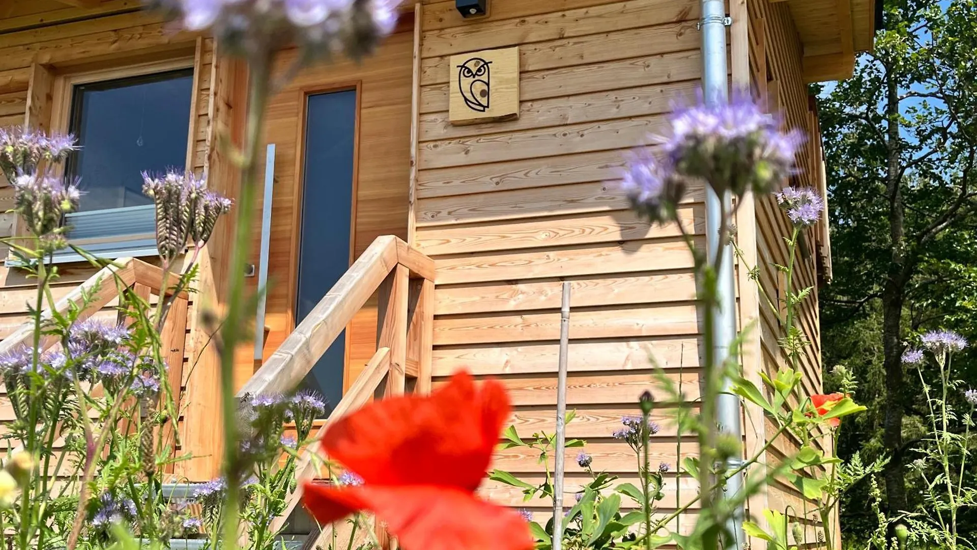 Wald Ist Zukunft Hotel Bernbeuren Holiday park