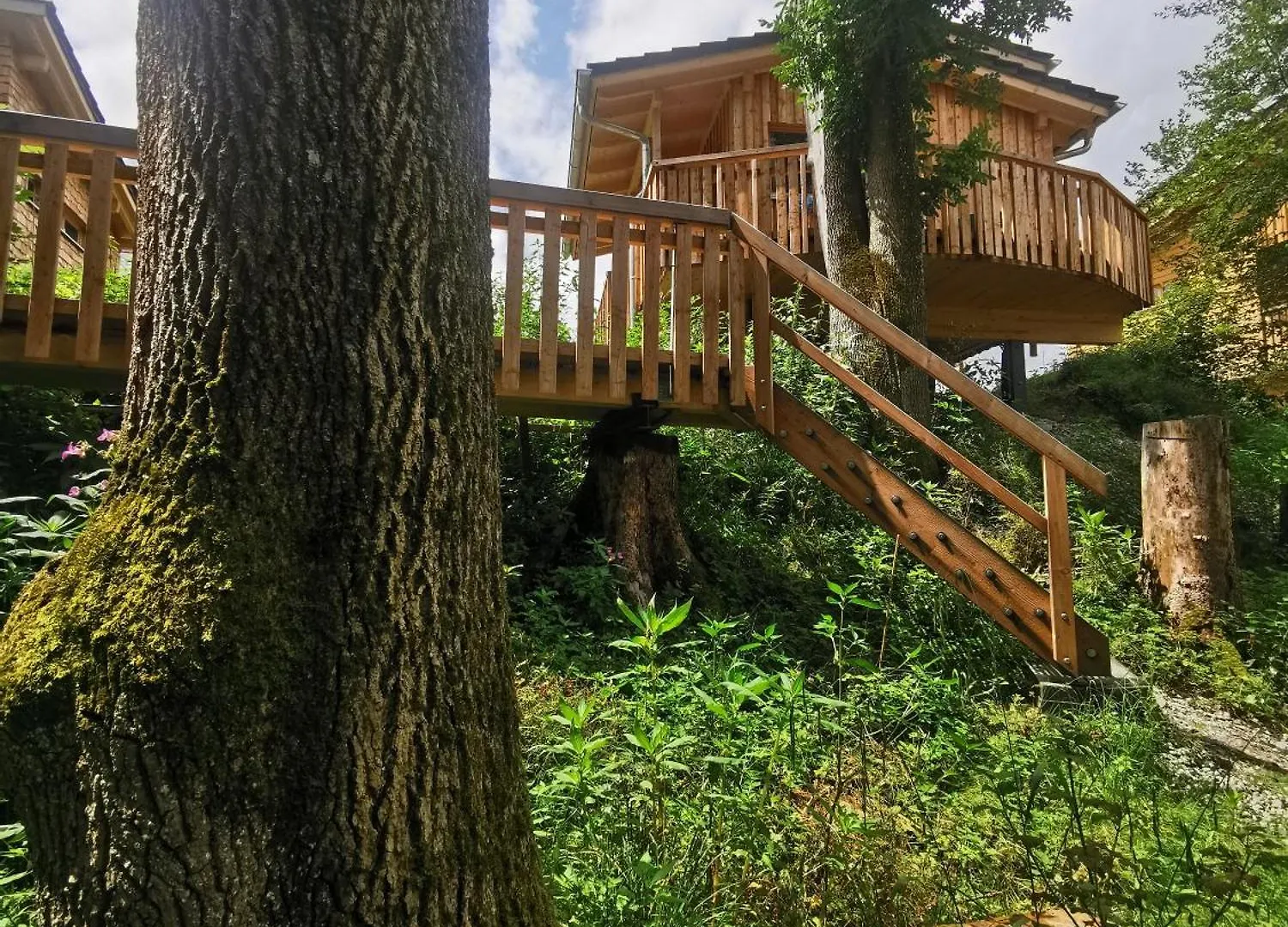 Wald Ist Zukunft Hotel Bernbeuren Germany