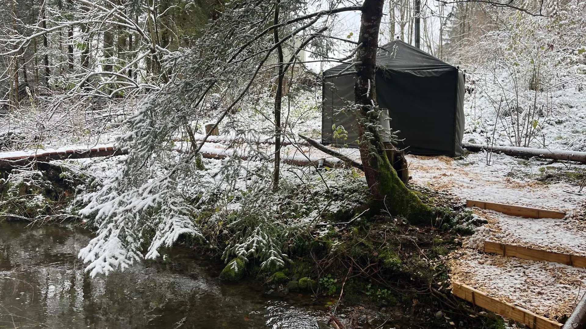 Wald Ist Zukunft Hotel Bernbeuren