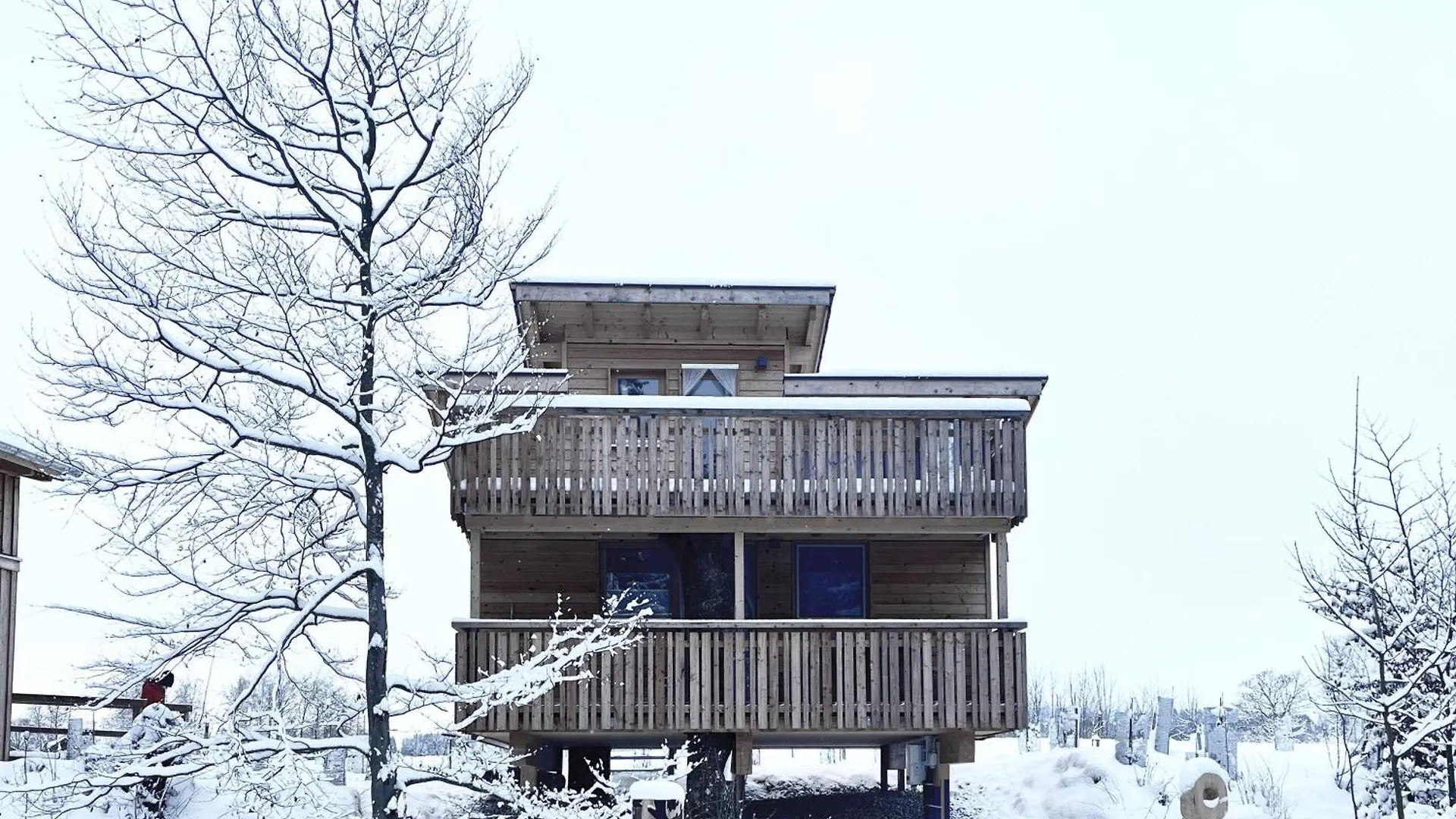 Wald Ist Zukunft Hotel Bernbeuren Holiday park